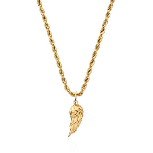 Colar Masculino Pingente de Asa - Ouro
