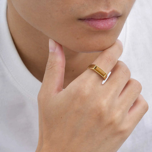 Anel Masculino Elementum Gold